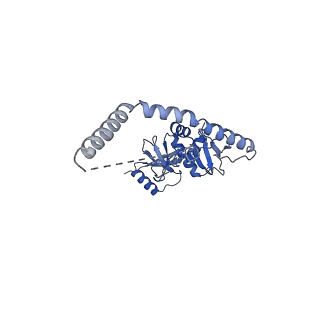 34905_8hmz_B_v1-1
Cryo-EM structure of the human post-catalytic TSEN/pre-tRNA complex