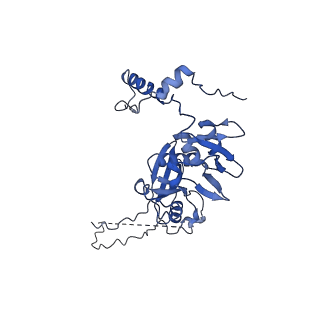 34905_8hmz_C_v1-1
Cryo-EM structure of the human post-catalytic TSEN/pre-tRNA complex