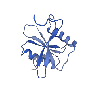 34905_8hmz_D_v1-1
Cryo-EM structure of the human post-catalytic TSEN/pre-tRNA complex