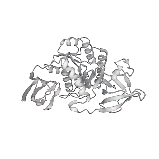 34905_8hmz_E_v1-1
Cryo-EM structure of the human post-catalytic TSEN/pre-tRNA complex