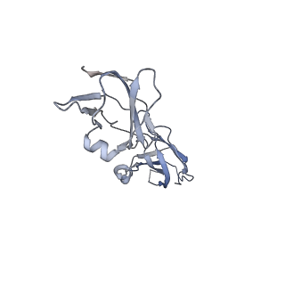 0246_6hn4_E_v1-4
Leucine-zippered human insulin receptor ectodomain with single bound insulin - "lower" membrane-proximal part