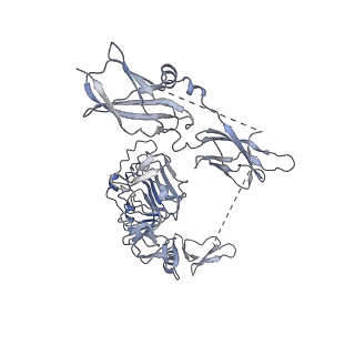 0246_6hn4_F_v1-4
Leucine-zippered human insulin receptor ectodomain with single bound insulin - "lower" membrane-proximal part