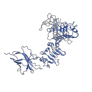 0247_6hn5_E_v1-2
Leucine-zippered human insulin receptor ectodomain with single bound insulin - "upper" membrane-distal part
