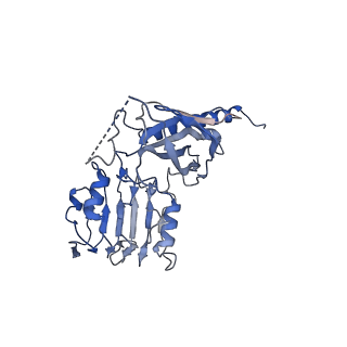 0247_6hn5_F_v1-2
Leucine-zippered human insulin receptor ectodomain with single bound insulin - "upper" membrane-distal part