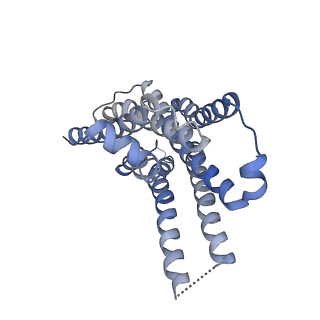 34908_8hn8_R_v1-0
Cryo-EM structure of ligand histamine-bound Histamine H4 receptor Gi complex