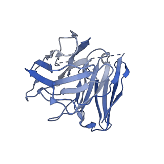 34908_8hn8_S_v1-0
Cryo-EM structure of ligand histamine-bound Histamine H4 receptor Gi complex