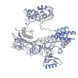 34919_8hnv_A_v1-1
CryoEM structure of HpaCas9-sgRNA-dsDNA in the presence of AcrIIC4