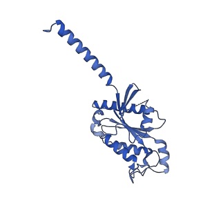 34925_8hoc_A_v1-0
Cryo-EM structure of ligand histamine-bound Histamine H4 receptor Gi complex