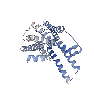 34925_8hoc_R_v1-0
Cryo-EM structure of ligand histamine-bound Histamine H4 receptor Gi complex