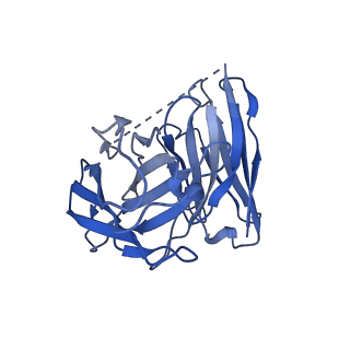 34925_8hoc_S_v1-0
Cryo-EM structure of ligand histamine-bound Histamine H4 receptor Gi complex