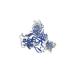 34928_8hp9_B_v1-0
Cryo-EM structure of SARS-CoV-2 Omicron BA.2 S-trimer in complex with fab L4.65 and L5.34