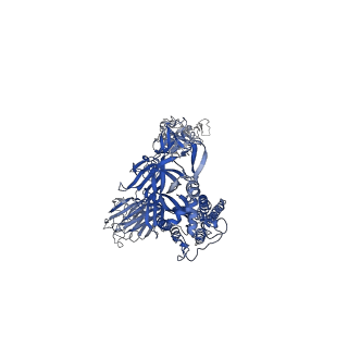 34928_8hp9_C_v1-0
Cryo-EM structure of SARS-CoV-2 Omicron BA.2 S-trimer in complex with fab L4.65 and L5.34