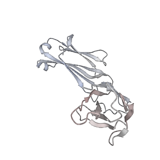 34928_8hp9_F_v1-0
Cryo-EM structure of SARS-CoV-2 Omicron BA.2 S-trimer in complex with fab L4.65 and L5.34