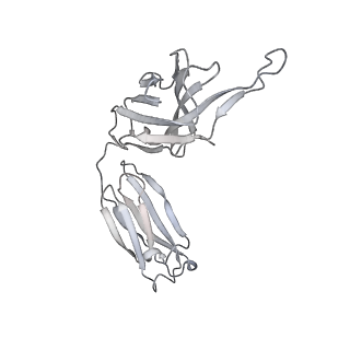 34928_8hp9_H_v1-0
Cryo-EM structure of SARS-CoV-2 Omicron BA.2 S-trimer in complex with fab L4.65 and L5.34