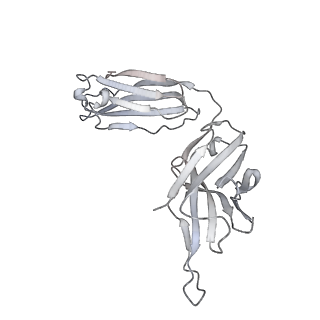 34928_8hp9_I_v1-0
Cryo-EM structure of SARS-CoV-2 Omicron BA.2 S-trimer in complex with fab L4.65 and L5.34