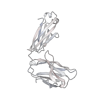 34928_8hp9_J_v1-0
Cryo-EM structure of SARS-CoV-2 Omicron BA.2 S-trimer in complex with fab L4.65 and L5.34