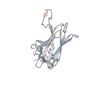 34928_8hp9_K_v1-0
Cryo-EM structure of SARS-CoV-2 Omicron BA.2 S-trimer in complex with fab L4.65 and L5.34