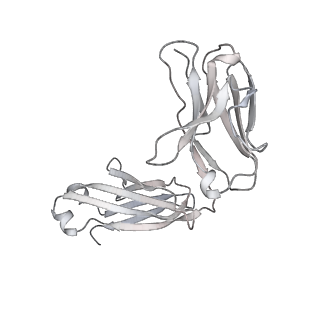 34928_8hp9_L_v1-0
Cryo-EM structure of SARS-CoV-2 Omicron BA.2 S-trimer in complex with fab L4.65 and L5.34