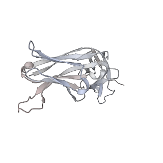 34928_8hp9_M_v1-0
Cryo-EM structure of SARS-CoV-2 Omicron BA.2 S-trimer in complex with fab L4.65 and L5.34