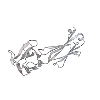 34928_8hp9_N_v1-0
Cryo-EM structure of SARS-CoV-2 Omicron BA.2 S-trimer in complex with fab L4.65 and L5.34