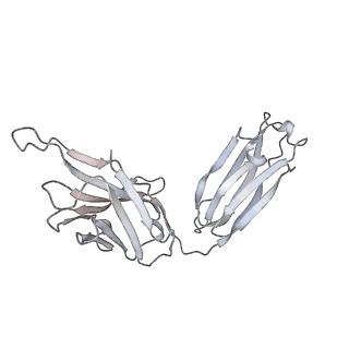 34928_8hp9_P_v1-0
Cryo-EM structure of SARS-CoV-2 Omicron BA.2 S-trimer in complex with fab L4.65 and L5.34