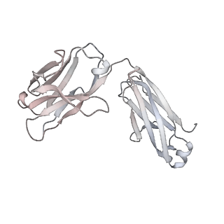 34928_8hp9_Q_v1-0
Cryo-EM structure of SARS-CoV-2 Omicron BA.2 S-trimer in complex with fab L4.65 and L5.34
