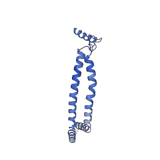 34935_8hpo_C_v1-1
Cryo-EM structure of a SIN3/HDAC complex from budding yeast