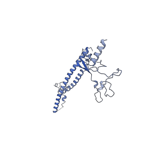 34935_8hpo_E_v1-1
Cryo-EM structure of a SIN3/HDAC complex from budding yeast