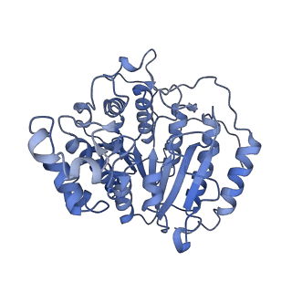 34935_8hpo_G_v1-1
Cryo-EM structure of a SIN3/HDAC complex from budding yeast