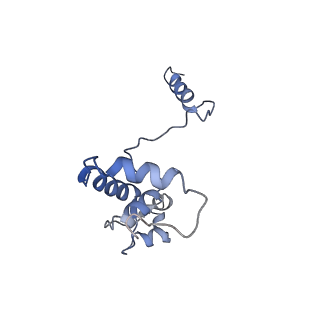 34935_8hpo_I_v1-1
Cryo-EM structure of a SIN3/HDAC complex from budding yeast