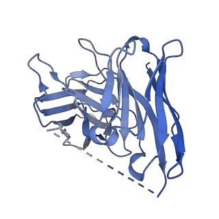34943_8hpt_H_v1-1
Structure of C5a-pep bound mouse C5aR1 in complex with Go