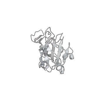 34944_8hpu_A_v1-1
Cryo-EM structure of SARS-CoV-2 Omicron BA.4 RBD in complex with fab L4.65 and L5.34