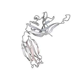 34944_8hpu_H_v1-1
Cryo-EM structure of SARS-CoV-2 Omicron BA.4 RBD in complex with fab L4.65 and L5.34