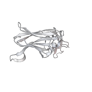 34944_8hpu_M_v1-1
Cryo-EM structure of SARS-CoV-2 Omicron BA.4 RBD in complex with fab L4.65 and L5.34
