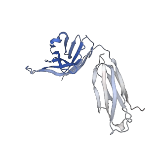34946_8hq7_H_v1-1
Cryo-EM structure of SARS-CoV-2 Omicron Prototype RBD in complex with fab L4.65 and L5.34