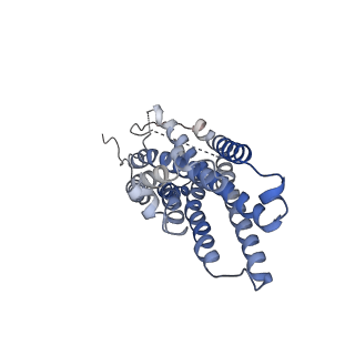 34947_8hqc_A_v1-0
Structure of a GPCR-G protein in complex with a natural peptide agonist