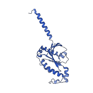 34947_8hqc_B_v1-0
Structure of a GPCR-G protein in complex with a natural peptide agonist