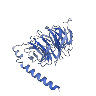 34947_8hqc_C_v1-0
Structure of a GPCR-G protein in complex with a natural peptide agonist
