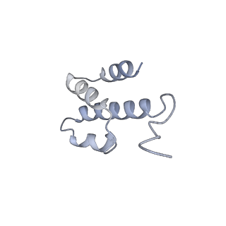 34947_8hqc_D_v1-0
Structure of a GPCR-G protein in complex with a natural peptide agonist