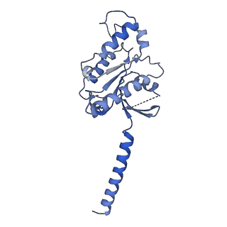 34948_8hqe_A_v1-1
Cryo-EM structure of the apo-GPR132-Gi