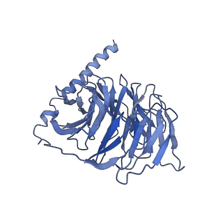 34948_8hqe_B_v1-1
Cryo-EM structure of the apo-GPR132-Gi