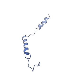 34948_8hqe_C_v1-1
Cryo-EM structure of the apo-GPR132-Gi