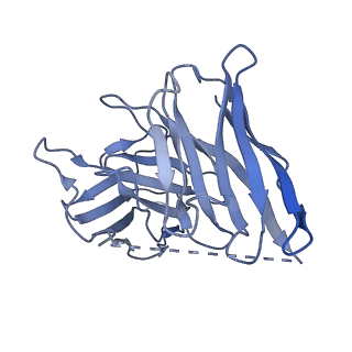 34948_8hqe_H_v1-1
Cryo-EM structure of the apo-GPR132-Gi