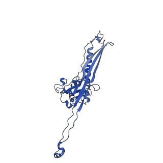 34949_8hqk_A_v1-1
Capsid of DT57C bacteriophage in the empty state