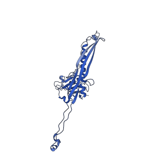34949_8hqk_G_v1-1
Capsid of DT57C bacteriophage in the empty state