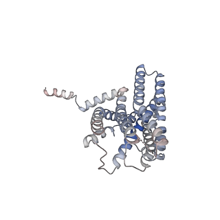 34950_8hqm_R_v1-1
Activation mechanism of GPR132 by NPGLY