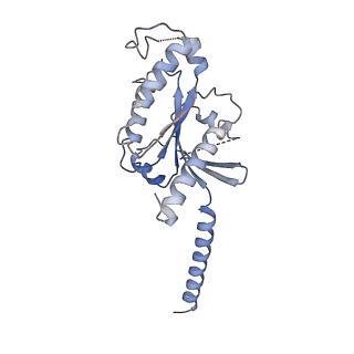 34951_8hqn_A_v1-1
Activation mechanism of GPR132 by 9(S)-HODE