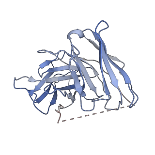 34951_8hqn_H_v1-1
Activation mechanism of GPR132 by 9(S)-HODE