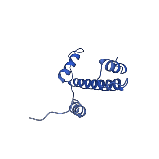 34954_8hqy_A_v1-2
Cryo-EM structure of SSX1 bound to the H2AK119Ub nucleosome at a resolution of 3.05 angstrom