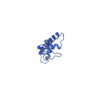 34954_8hqy_C_v1-1
Cryo-EM structure of SSX1 bound to the H2AK119Ub nucleosome at a resolution of 3.05 angstrom